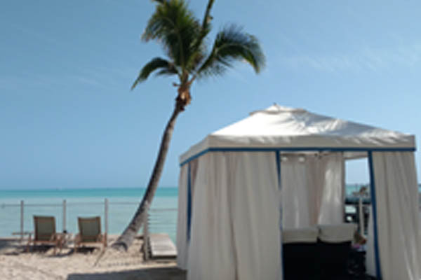 palm tree and sand  - photo links to itinerary